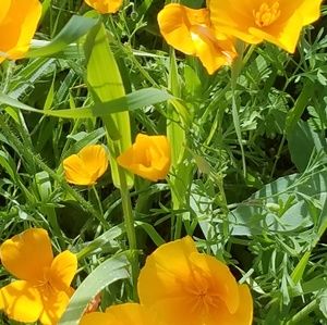 Meet your Posher, Terri